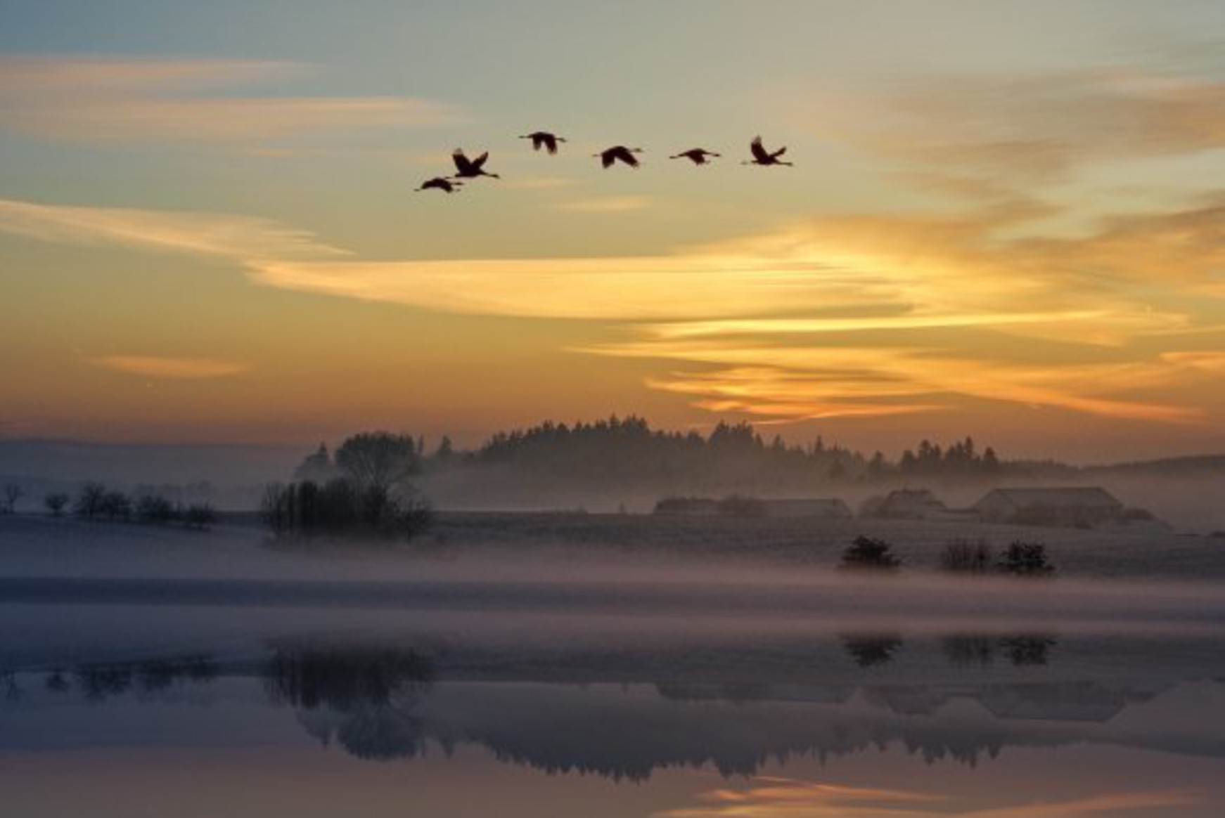 Six oiseaux migrateurs volant au dessus d'un paysage enneigé sur un fond de soleil couchant